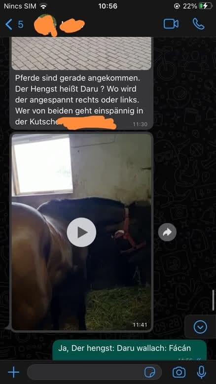 Die Pferde sind in Deutschland angekommen, und es gibt große Zufriedenheit.