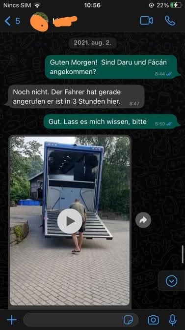 Die Pferde sind in Deutschland angekommen, und es gibt große Zufriedenheit.