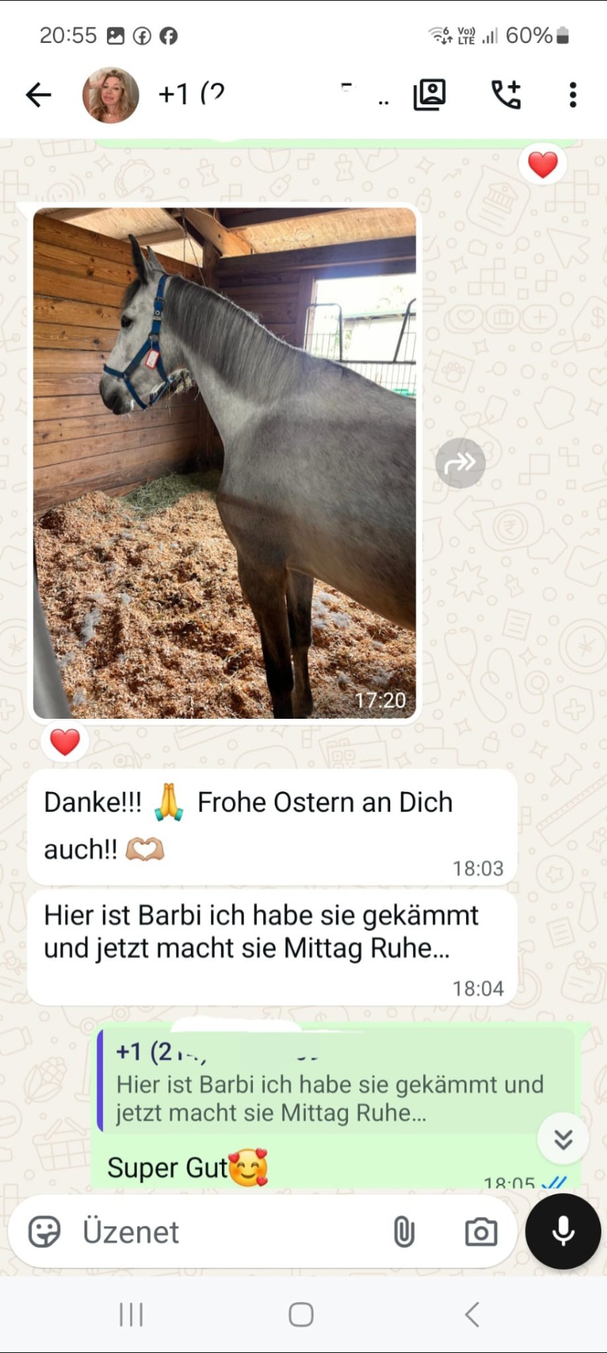 Tolles Feedback aus den Vereinigten Staaten, aus Miami. Herzlichen Glückwunsch zu Barbie.